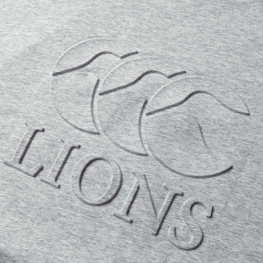 Canterbury British & Irish Lions Monument T-Shirt Herren